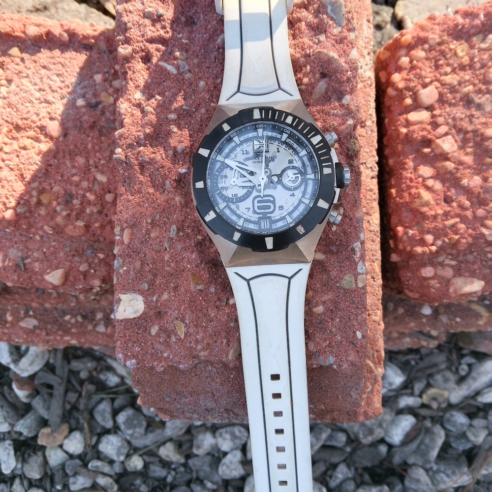 Franck Dubarry watch